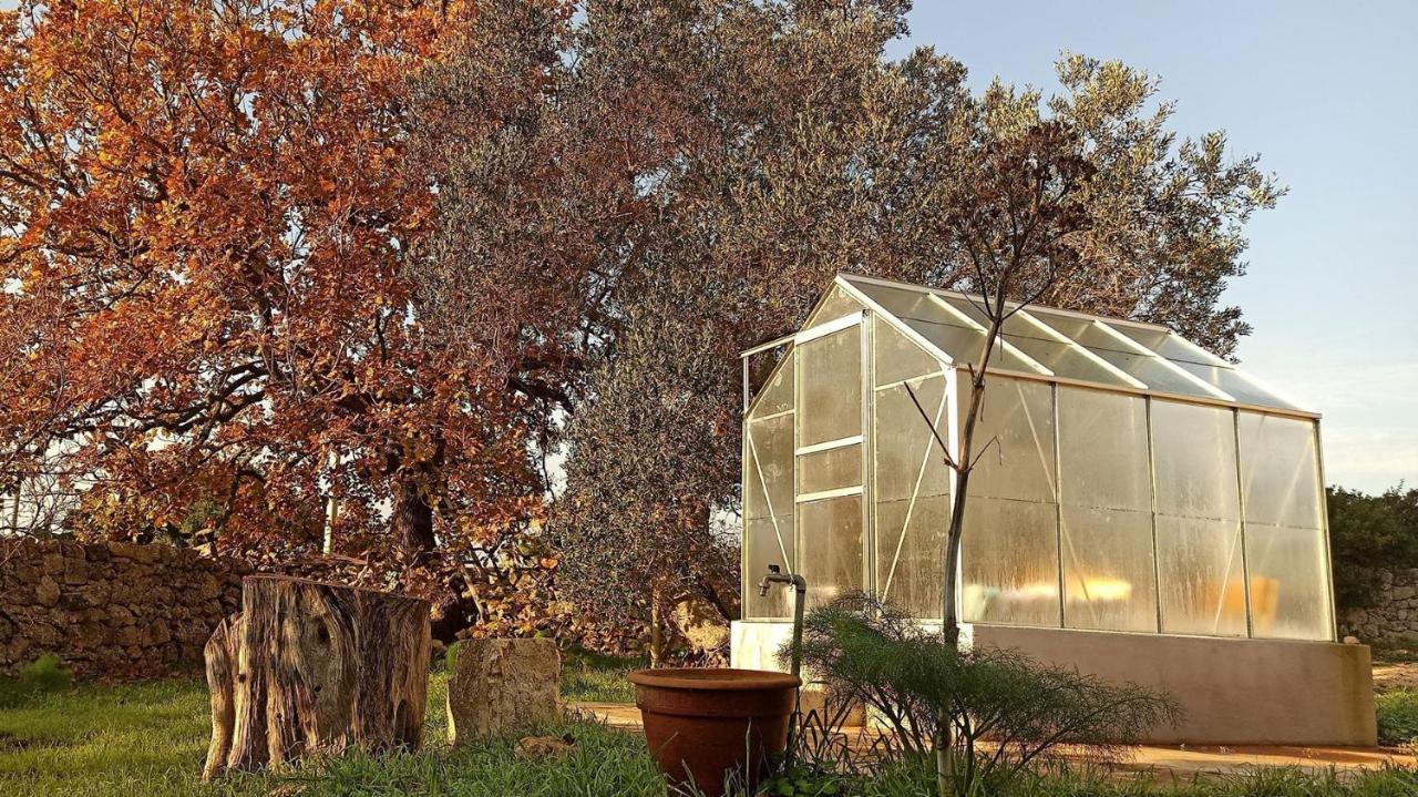 Masseria Lojazzo Ceglie Messapica Exteriér fotografie