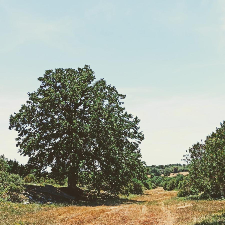 Masseria Lojazzo Ceglie Messapica Exteriér fotografie