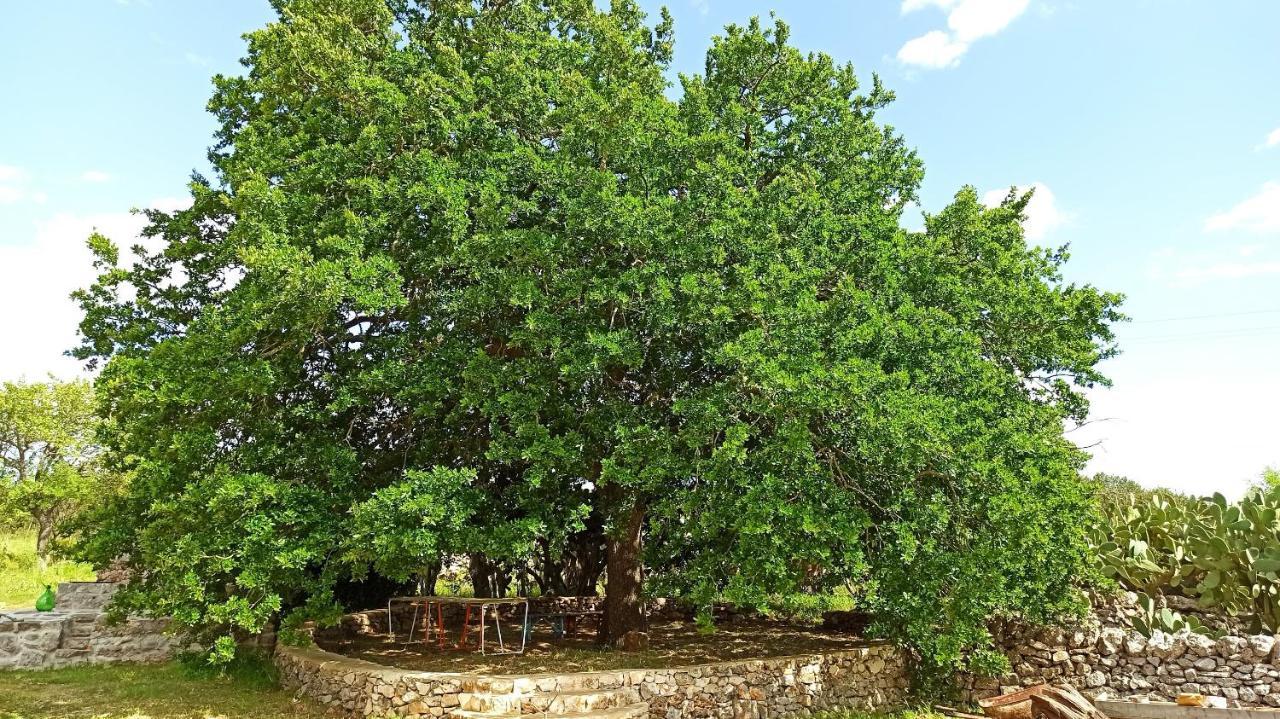 Masseria Lojazzo Ceglie Messapica Exteriér fotografie