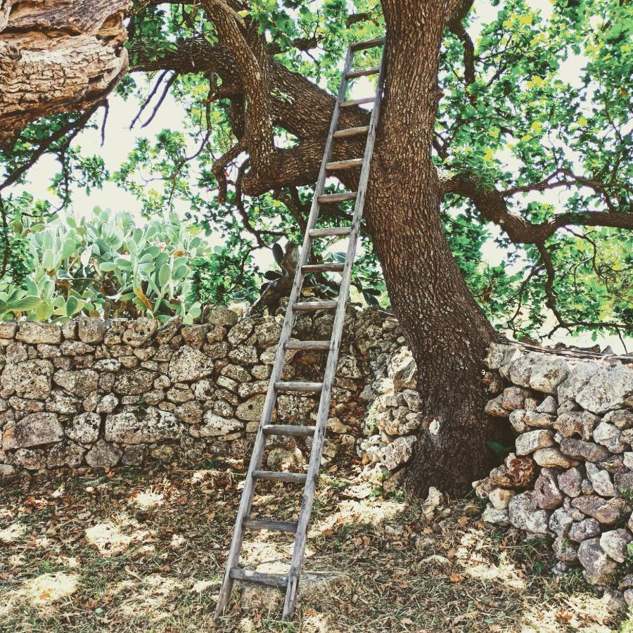 Masseria Lojazzo Ceglie Messapica Exteriér fotografie